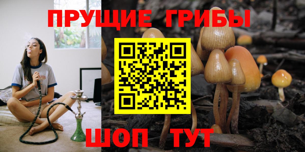 Коркино  Псилоцибиновые грибы Psilocybine cubensis  Вход с VPN  Галлюциногенные грибы Psilocybine cubensis 