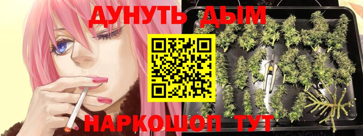 Шишки марихуана LSD WEED  Вход с VPN  Конопля семена  Коркино  Канабис план 